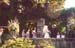 scan41