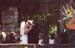 scan42